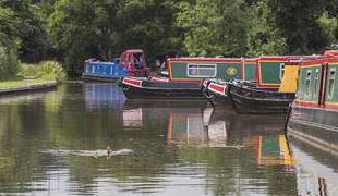 Kings Orchard Marina